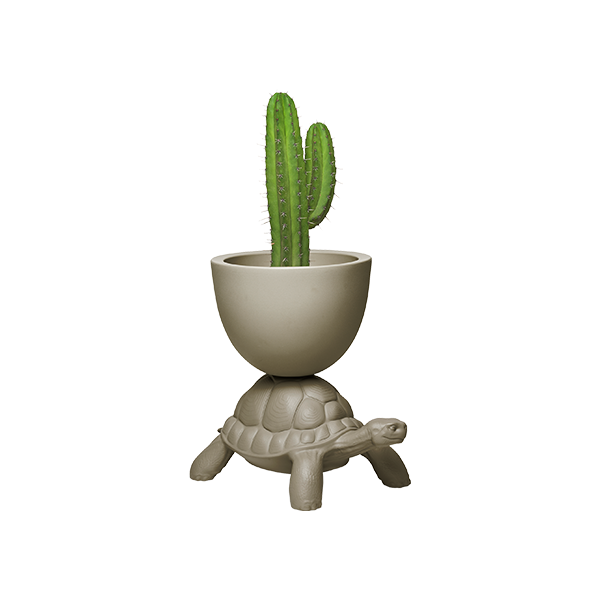 TURTLE CARRY PLANTER - view 1