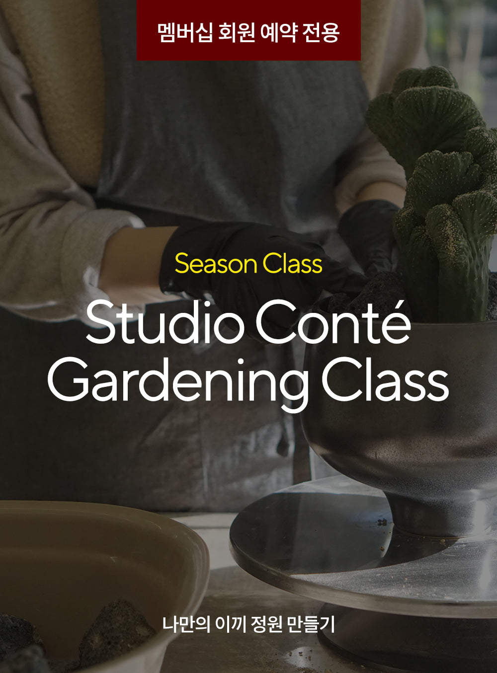 Studio Conte: Wondei Gardening Class(Members Only)