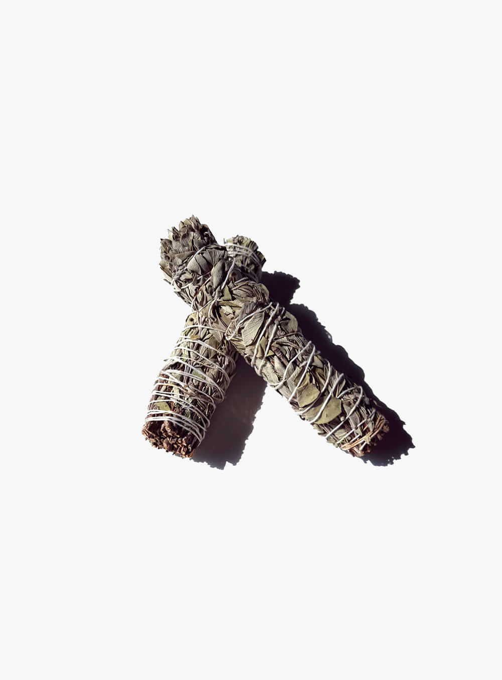 White Seiji Oganik Smudge Stick