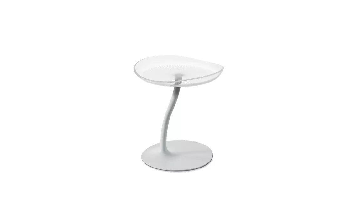 mucidule | occasional table