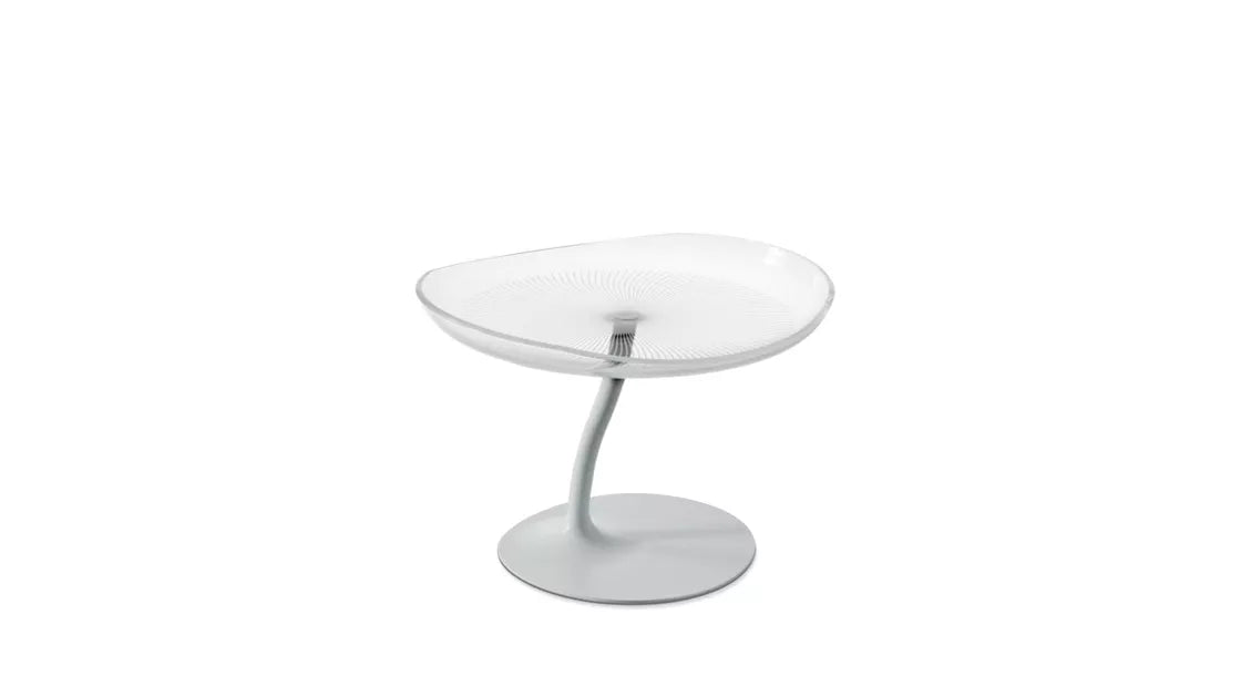 mucidule | end table