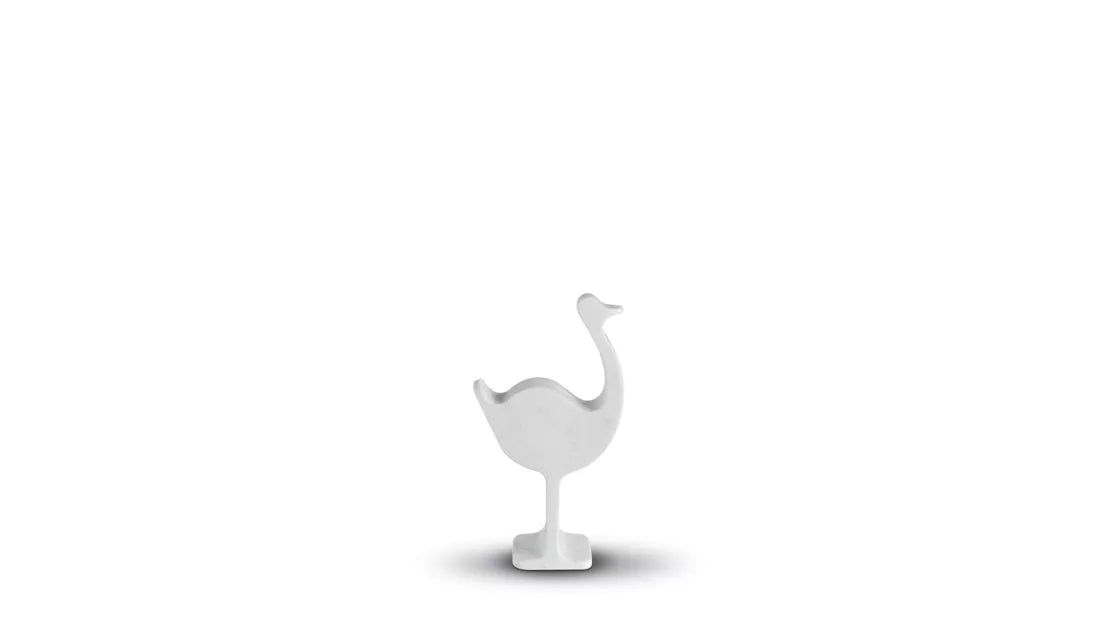 safari | ostrich