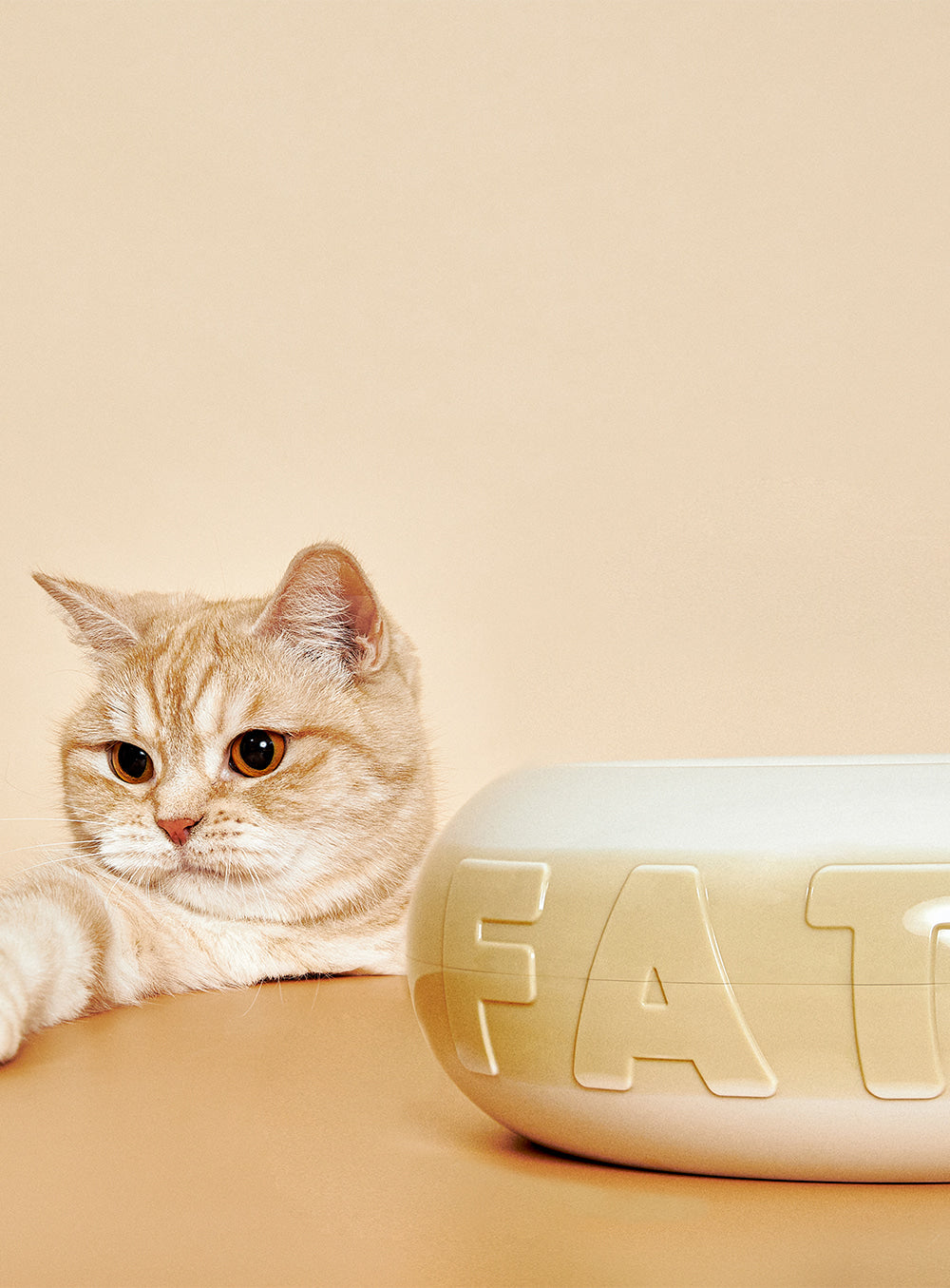 FAT BOWL F1-03