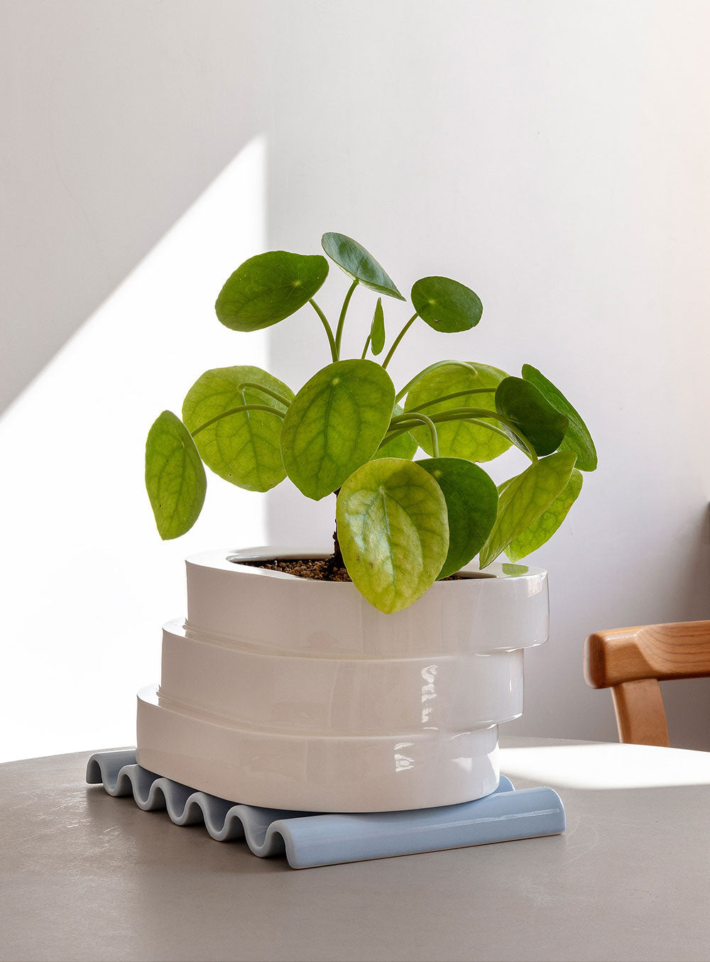 Step Planter Round