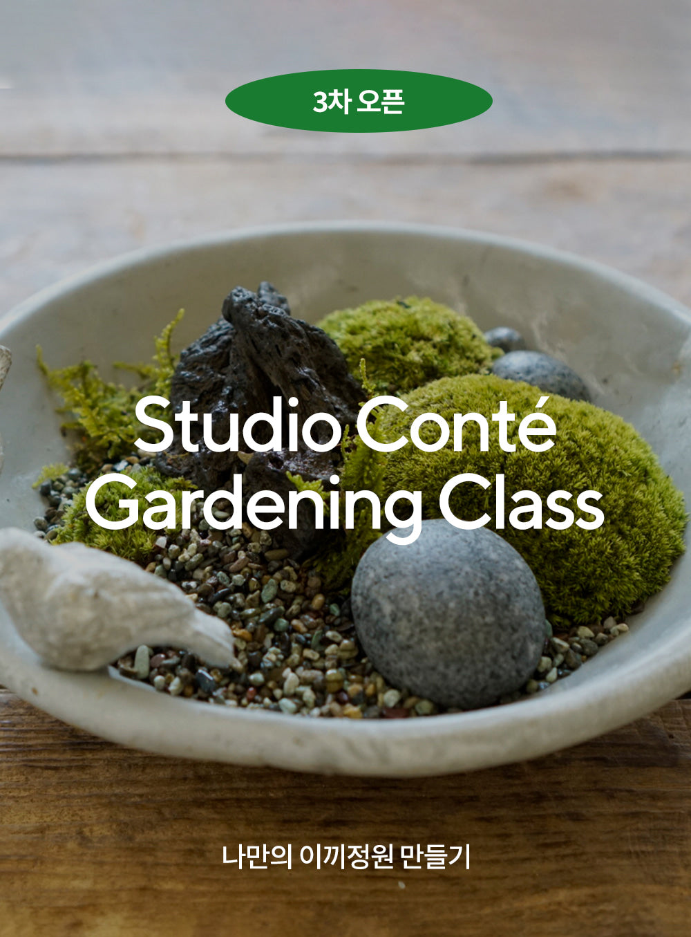 Studio Conte: Wondei Gardening Class