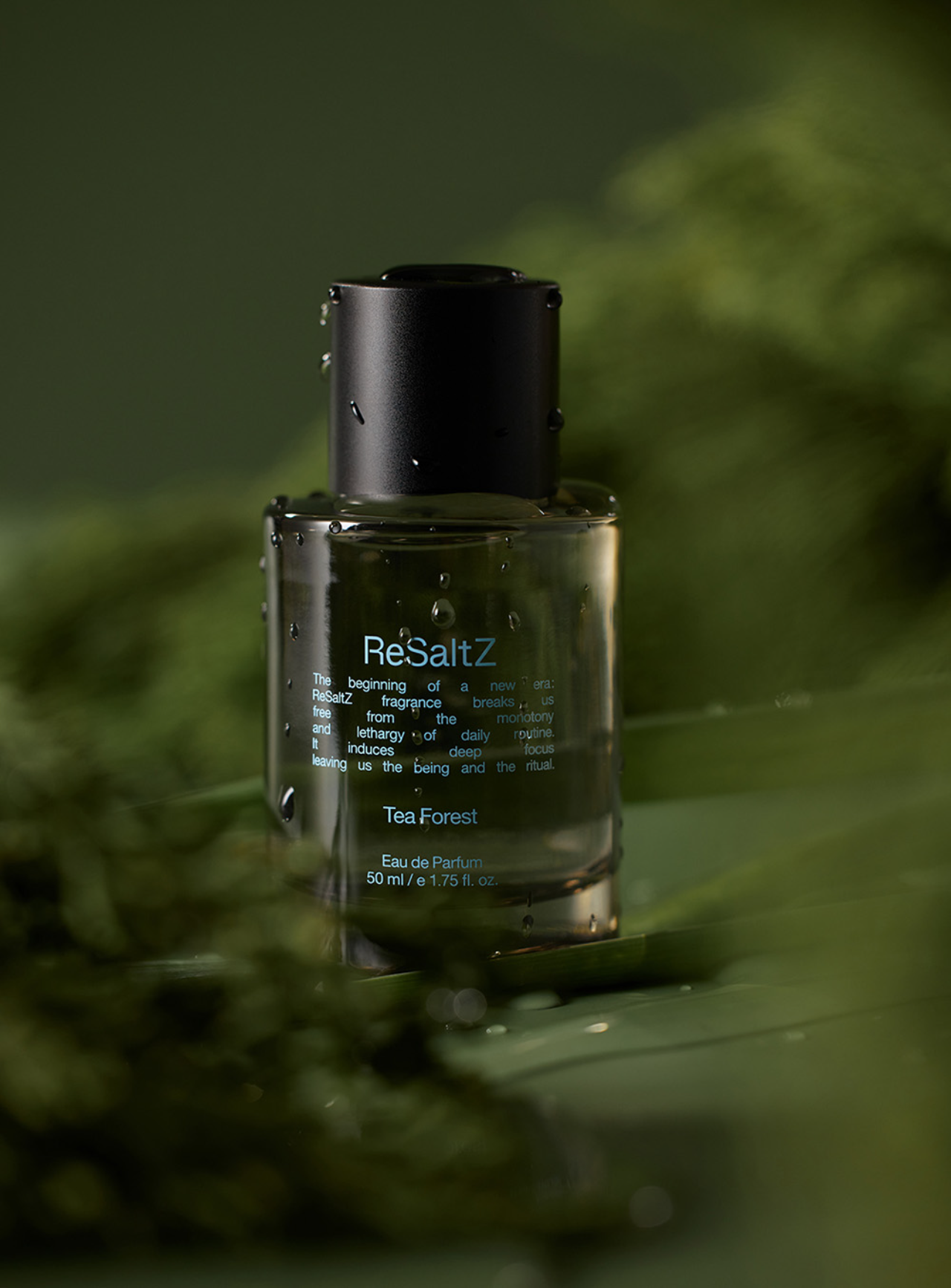 리추얼 Eau de Parfum 티 포레스트 50ml