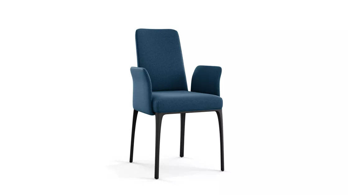 aida | Dining armchair - stained beech or lacquer finish