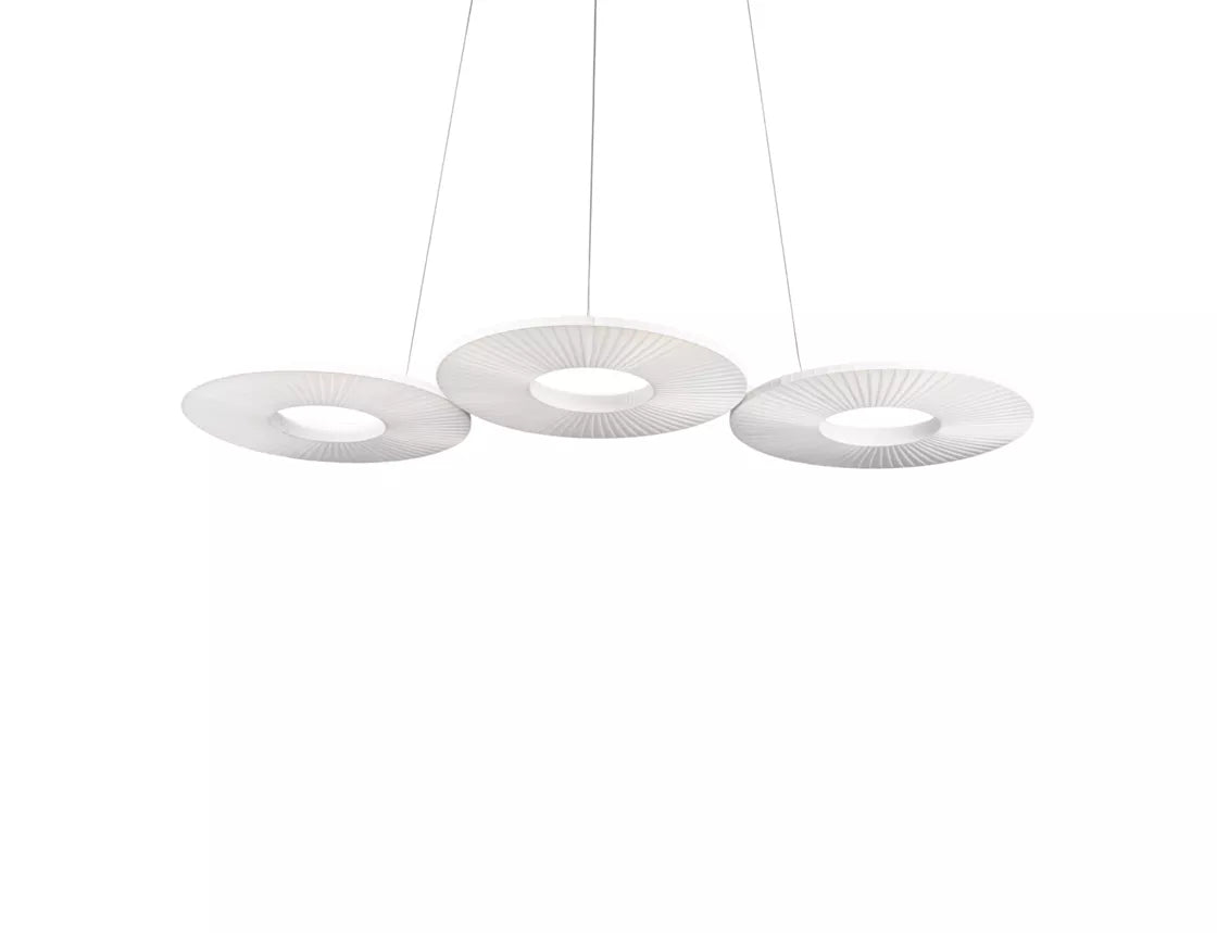 cactus | Suspension