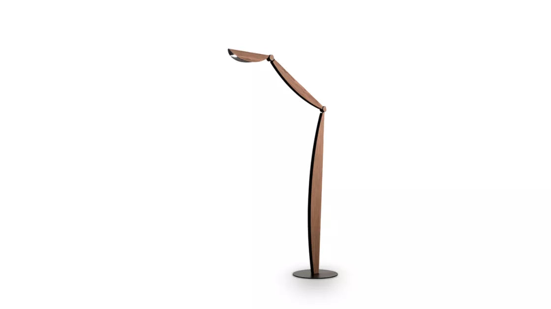 oiseau | Structure
