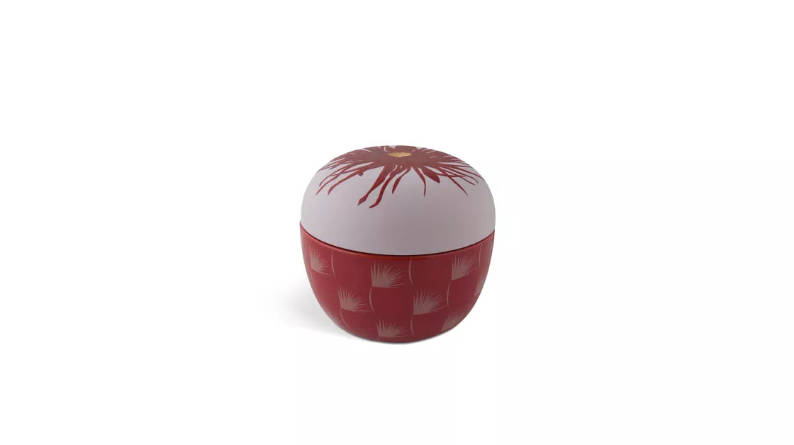 tokonatsu | natsu box