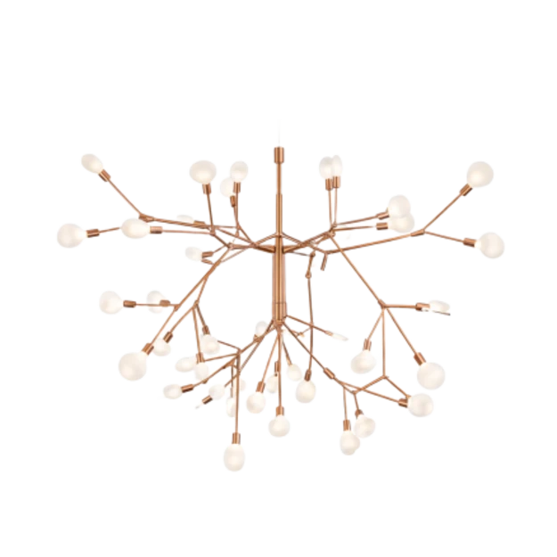 Heracleum - view 1