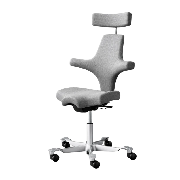 HÅG Capisco 8107 Cura Dynamic Ergonomic Office Chair - view 1