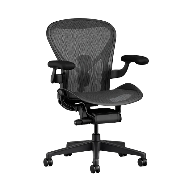 Aeron Chair - Basic Option - view 1
