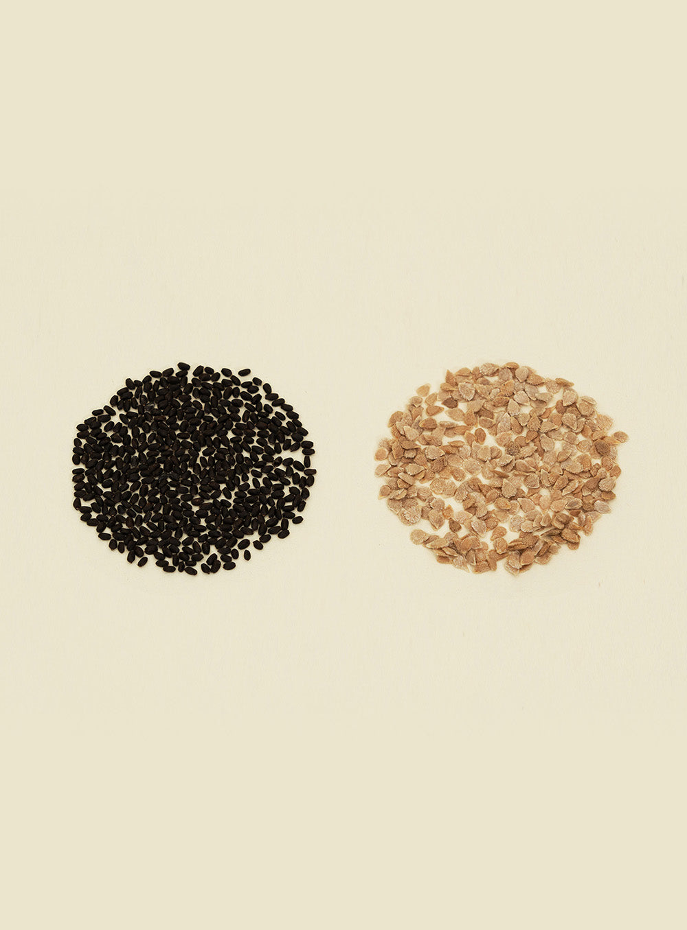 스위트 바질 x 화분 토마토 Seed Kit
