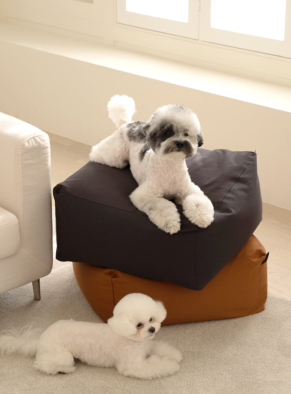 Beanbag