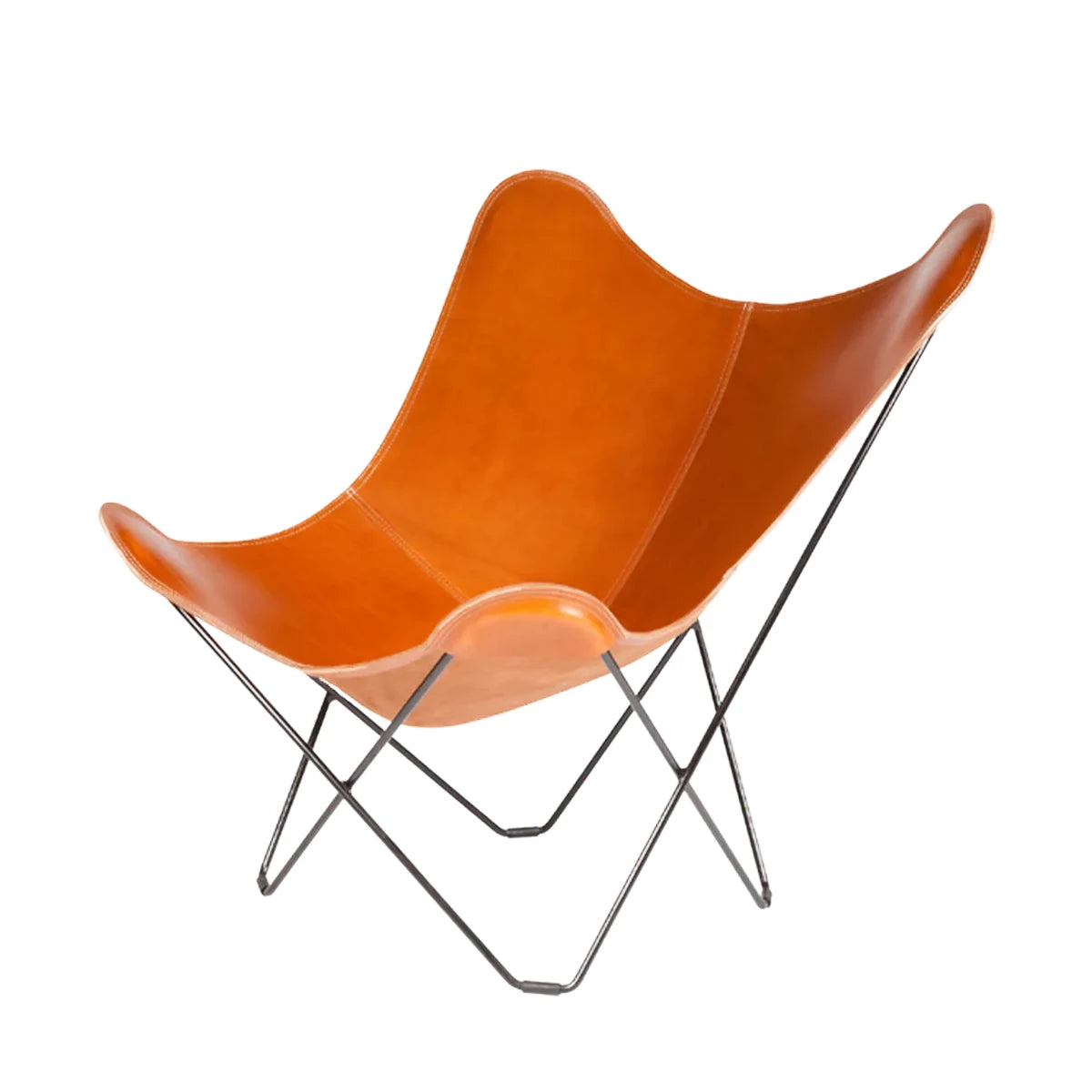 Butterfly Chair Pampa Mariposa Polo - view 1