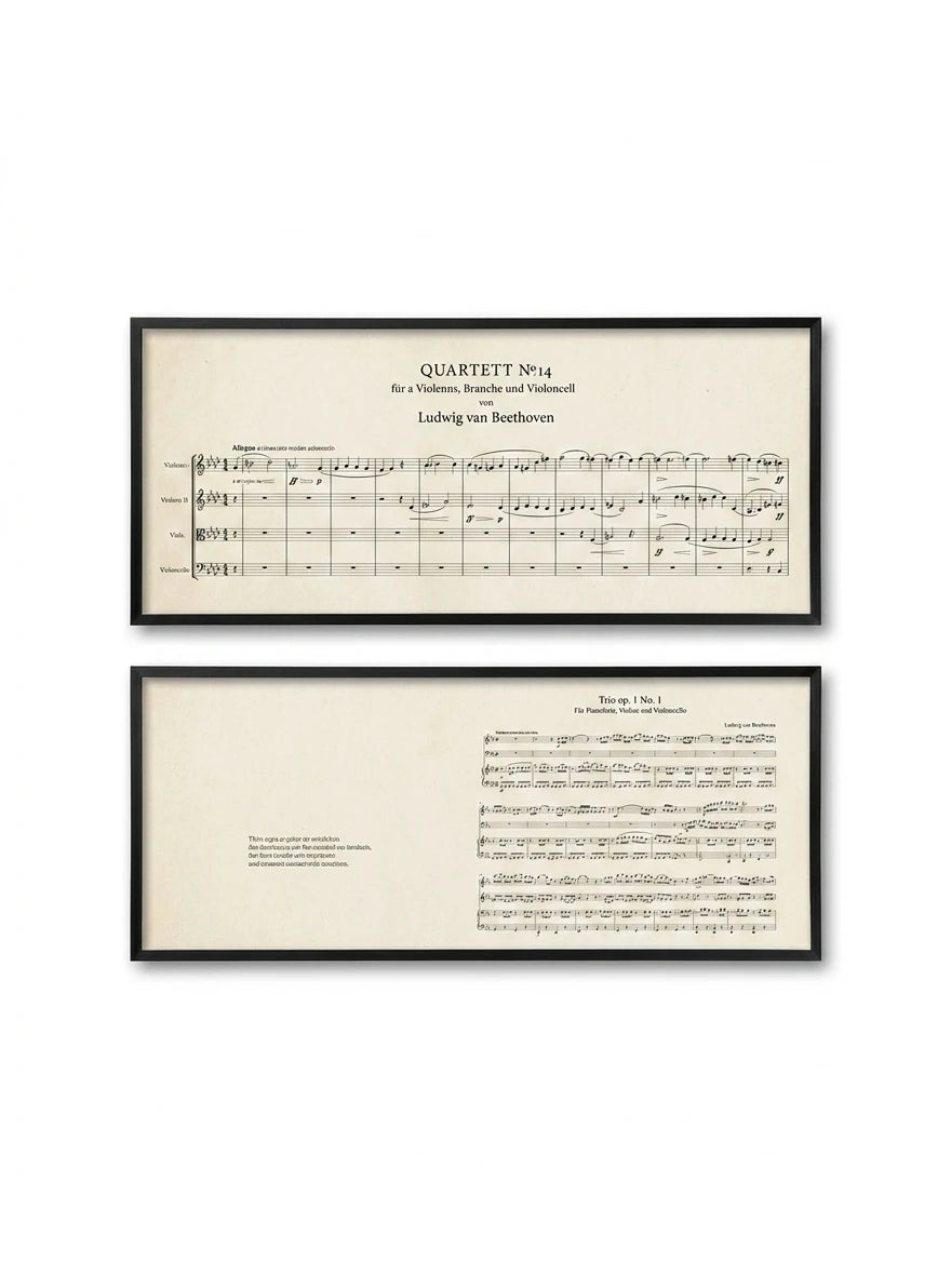 Music Score Frame - Beethoven 14 - view 1