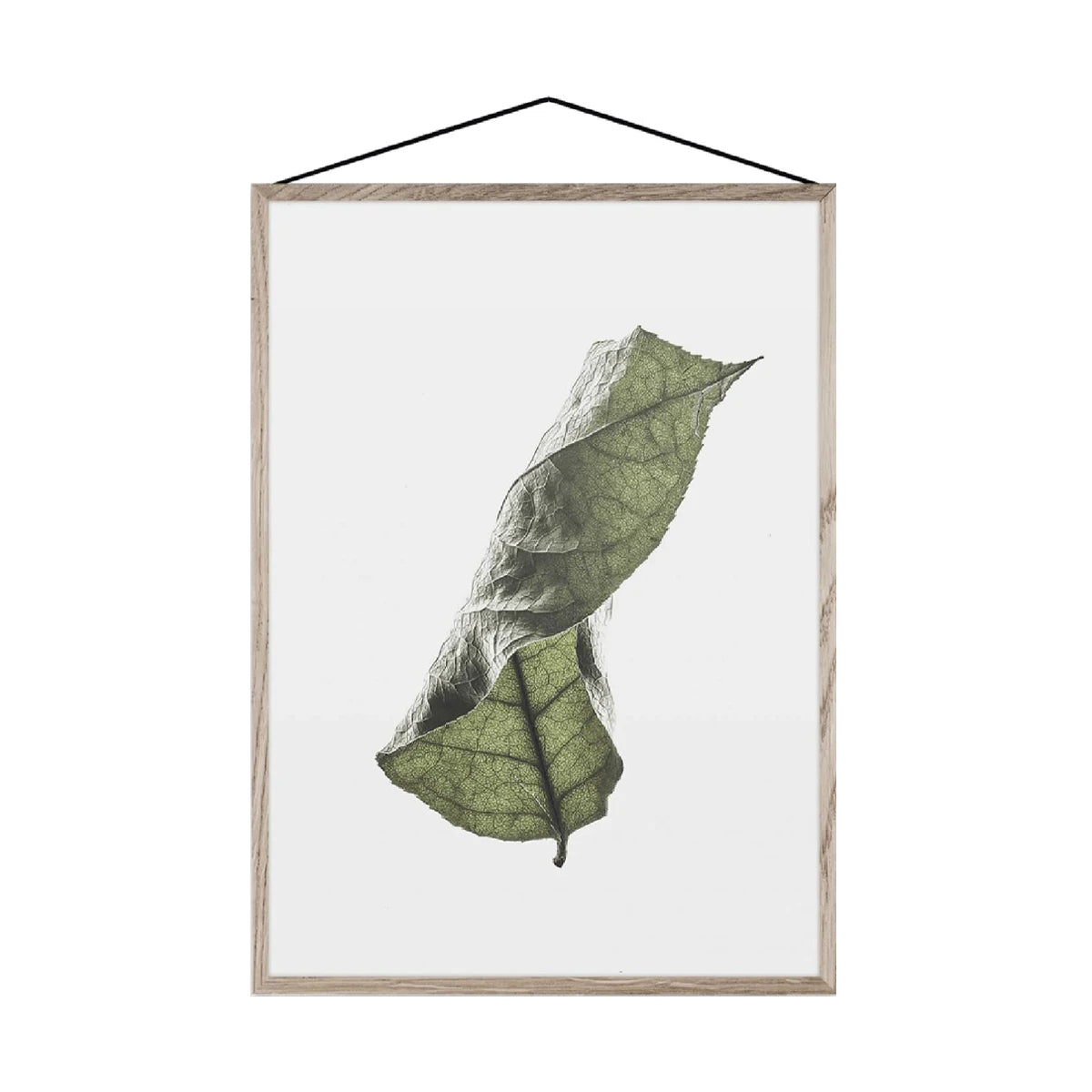 Floating Leaves 04 a3 Print Only - view 1