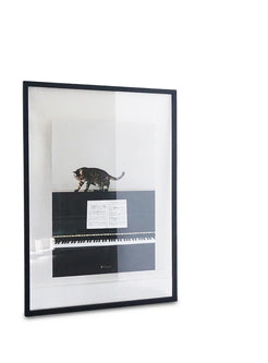 Piano Cat Poster - view 1