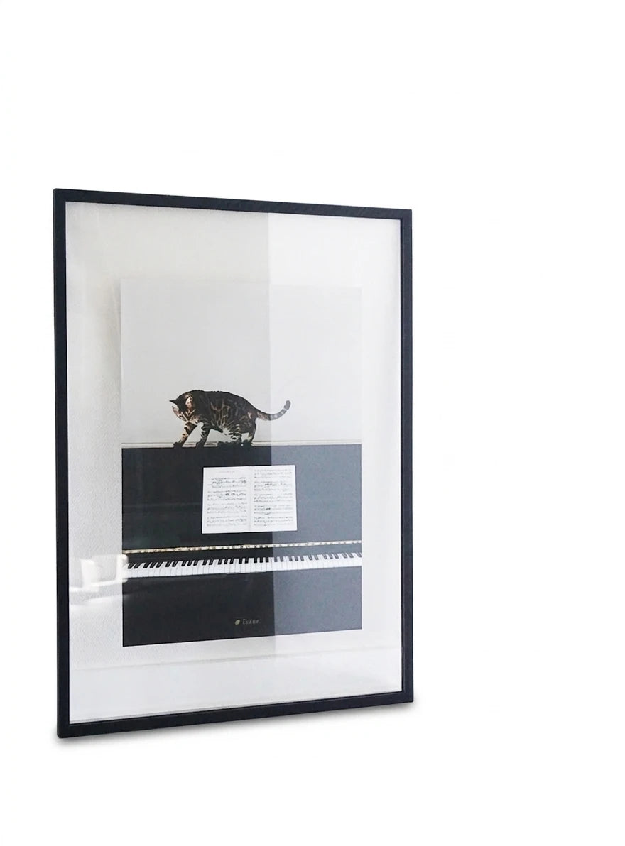 Piano Cat Poster - view 1