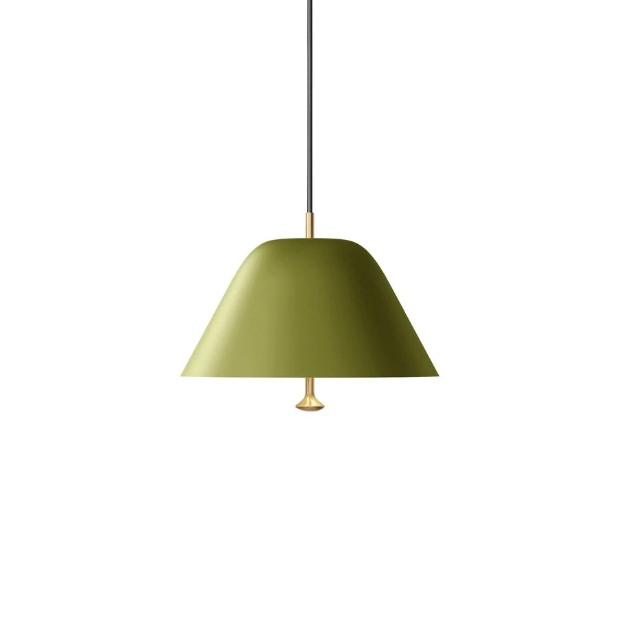 Levitate Pendant 28 Sage Green/Brass - view 1