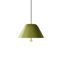 Levitate Pendant 28 Sage Green/Brass - view 1