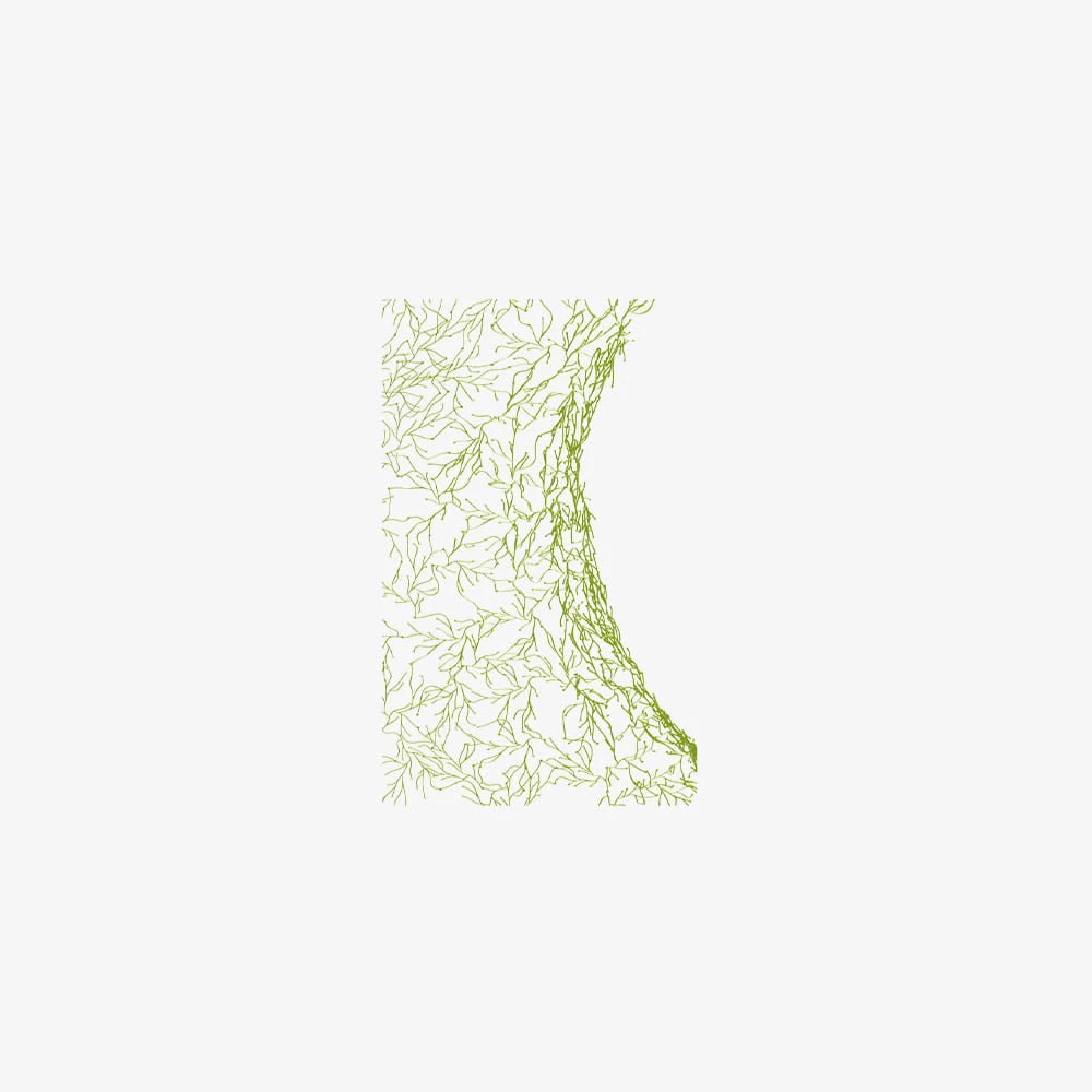 Algue Green - view 1