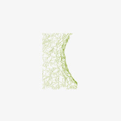 Algue Green - view 1