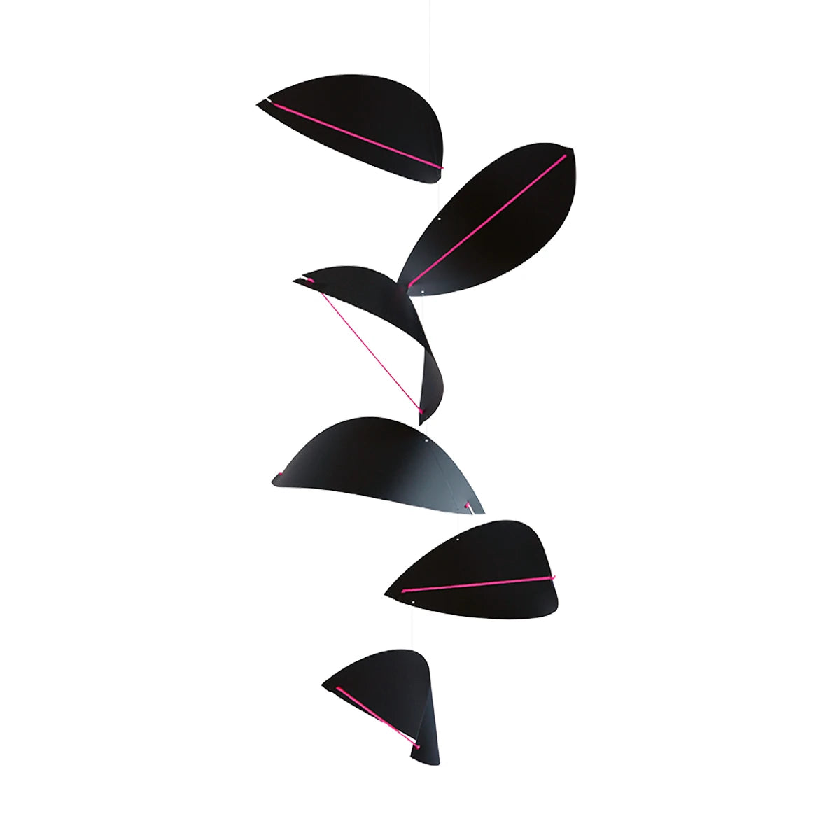 Kites Black - view 1
