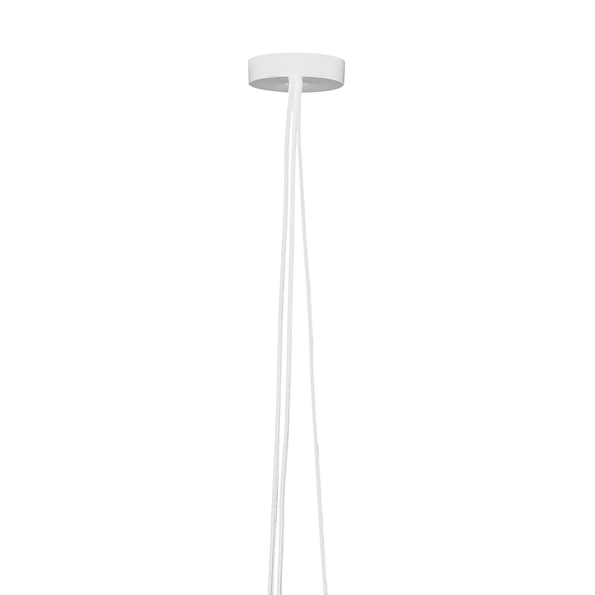 Aim Rose White - view 1