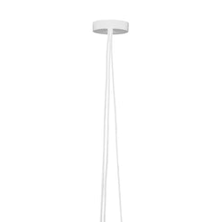 Aim Rose White - view 1