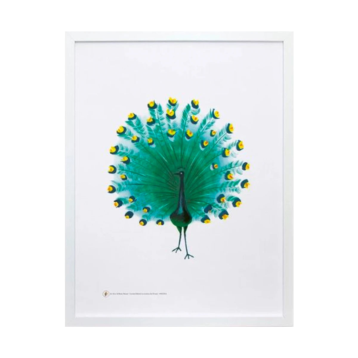 Art Print - Peacock (Zoo) by Bruno Munari - view 1