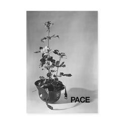Poster For Peace - view 1