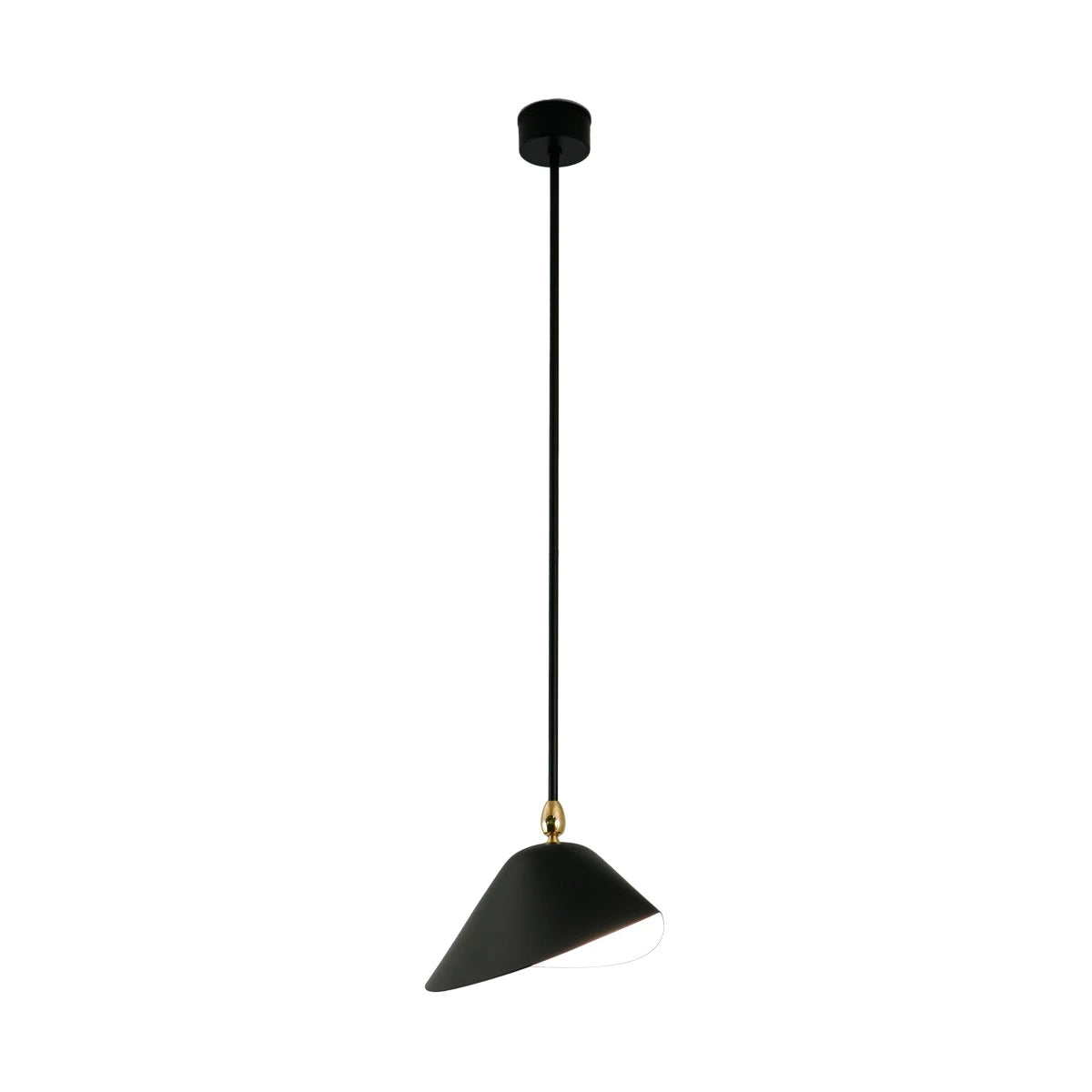 Ceiling Lamp Bookshelf - view 1