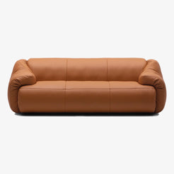 DS-705/03 TOUCH CUOIO Sofa - view 1
