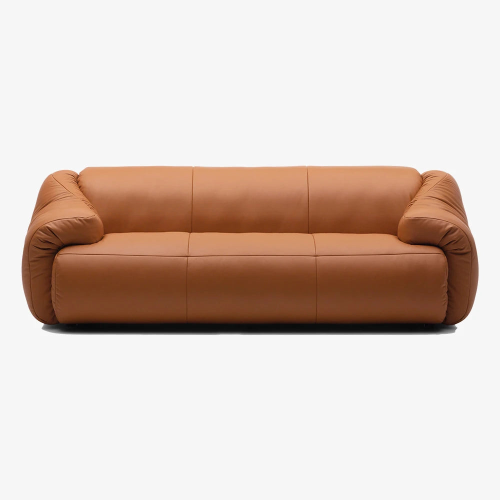 DS-705/03 TOUCH CUOIO Sofa - view 1