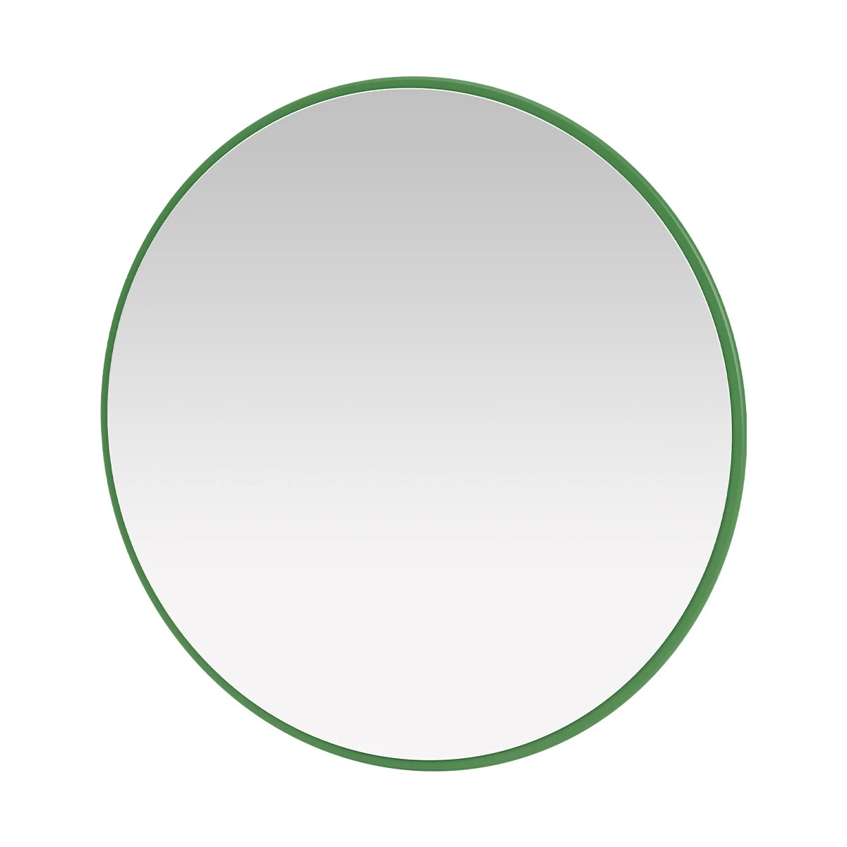 Around Mirror Parsley - view 1