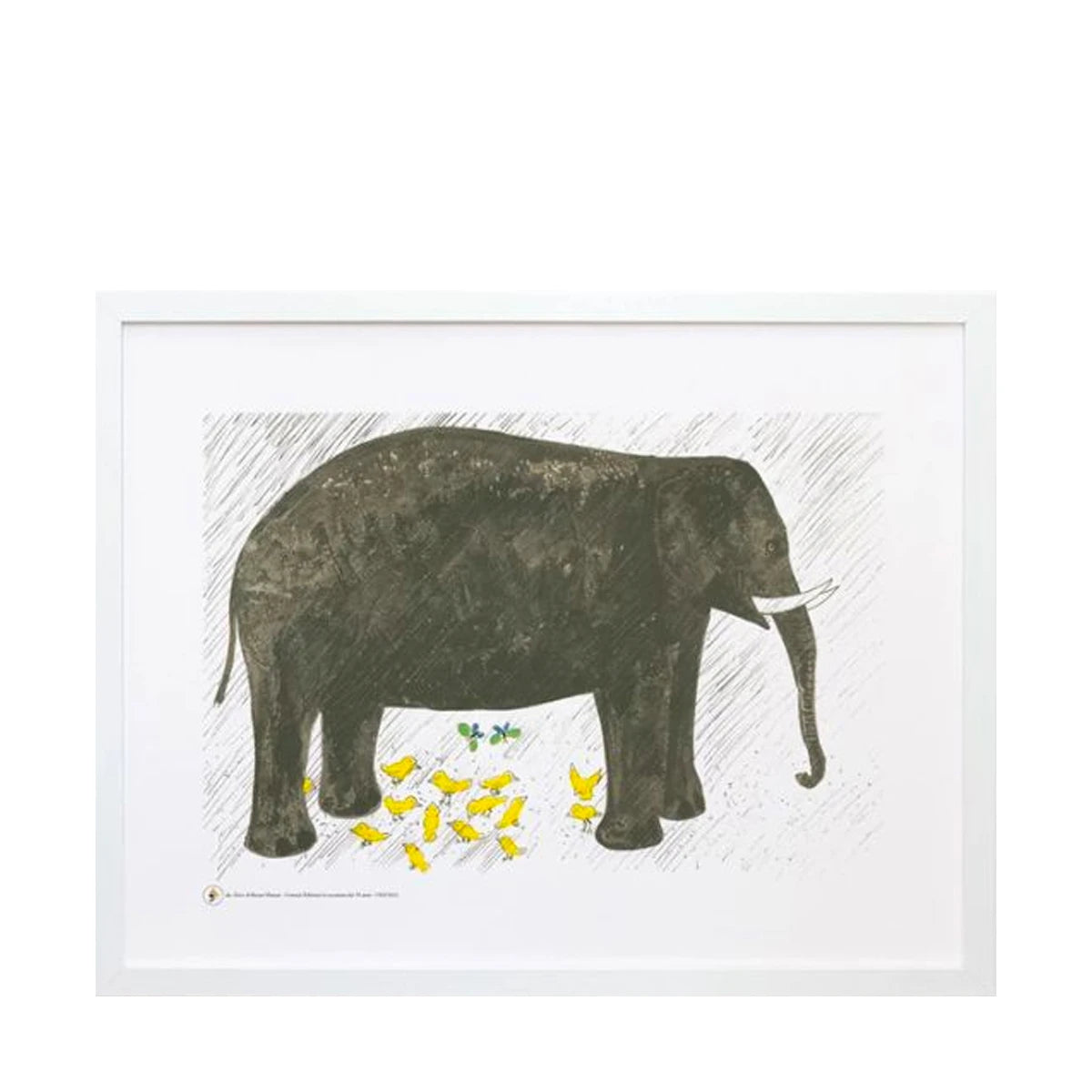 Art Print - Elephant (Zoo) by Bruno Munari - view 1