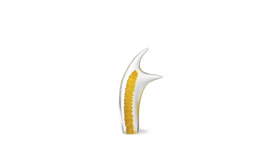 pinna | Object