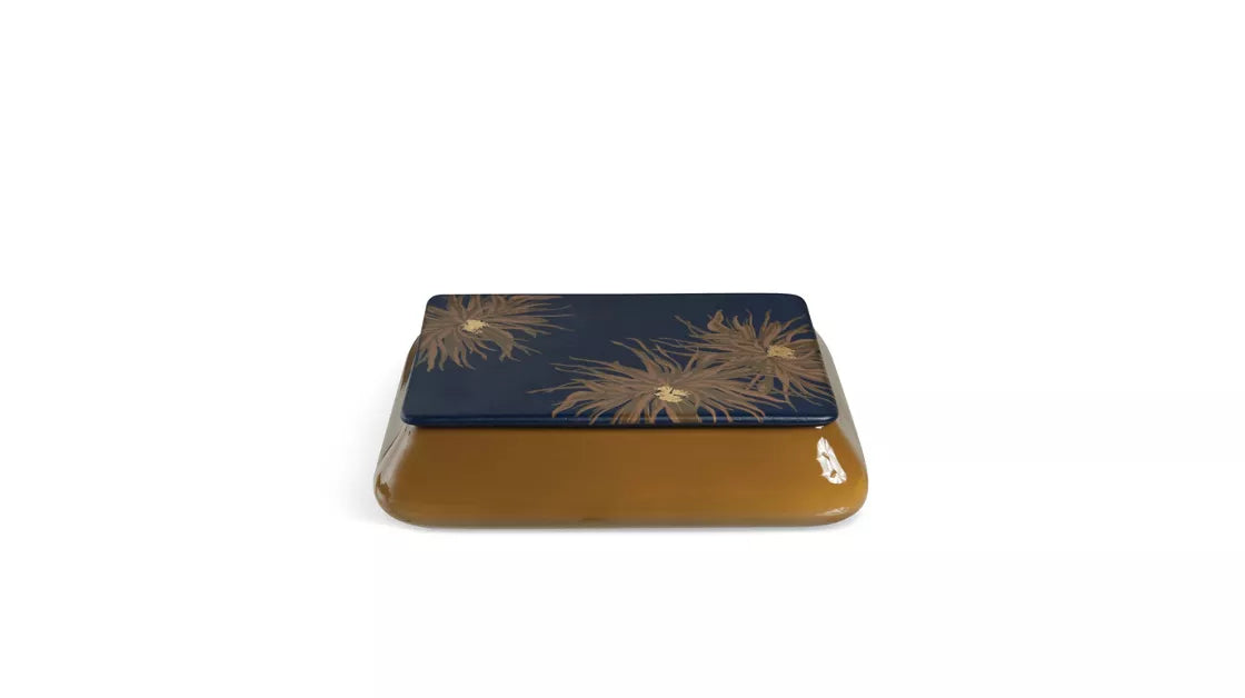 shoshin | SHOSHIN box