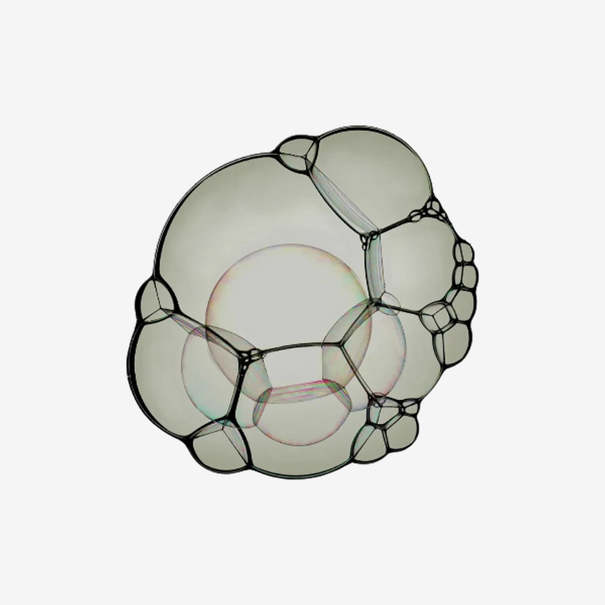 TIOR normalized active card | 10519209967797 | b5eac46736f6