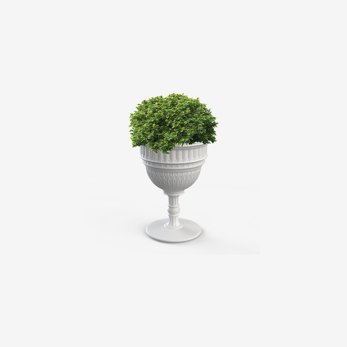 CAPITOL PLANTER