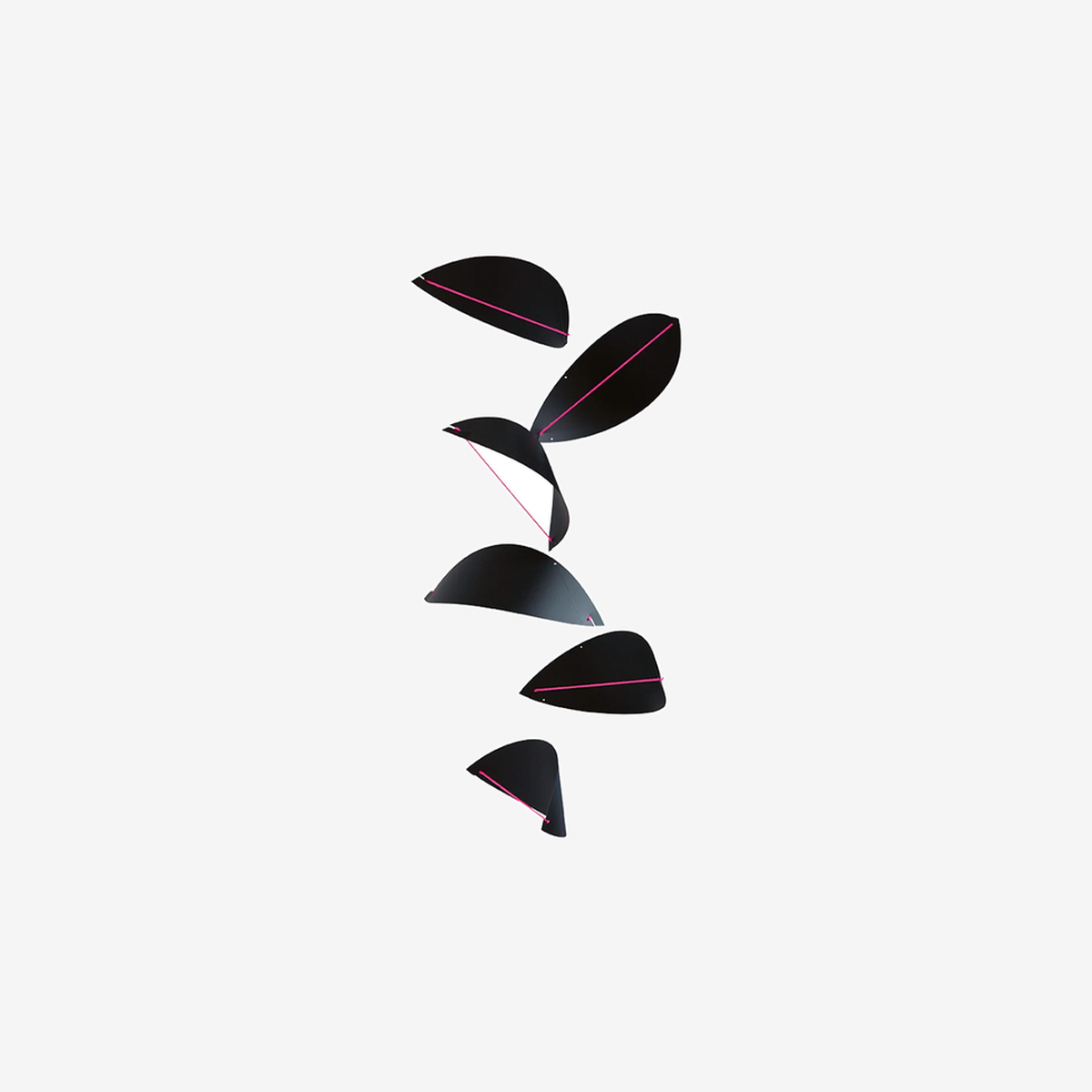 TIOR padding5 normalized card | 10520089100469 | 64bee79ca3c1