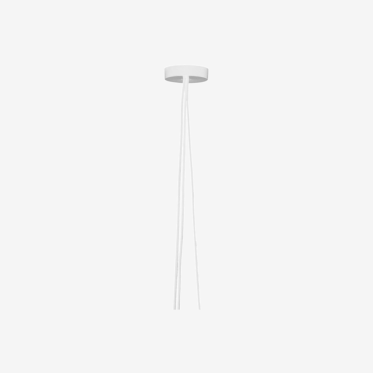 Aim Rose White