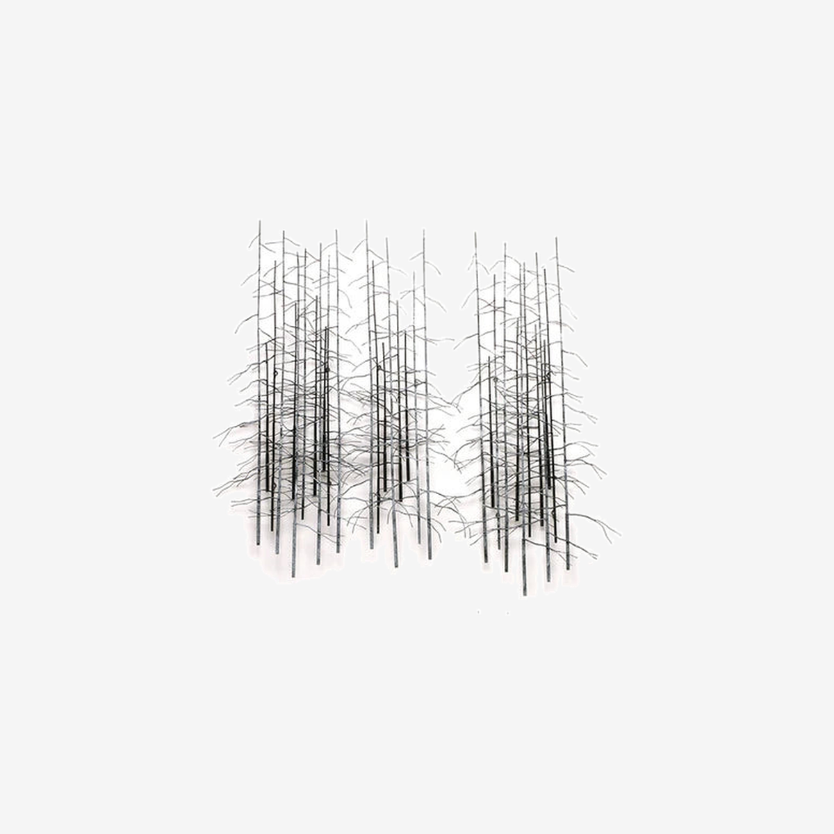 Winter Trees 210986