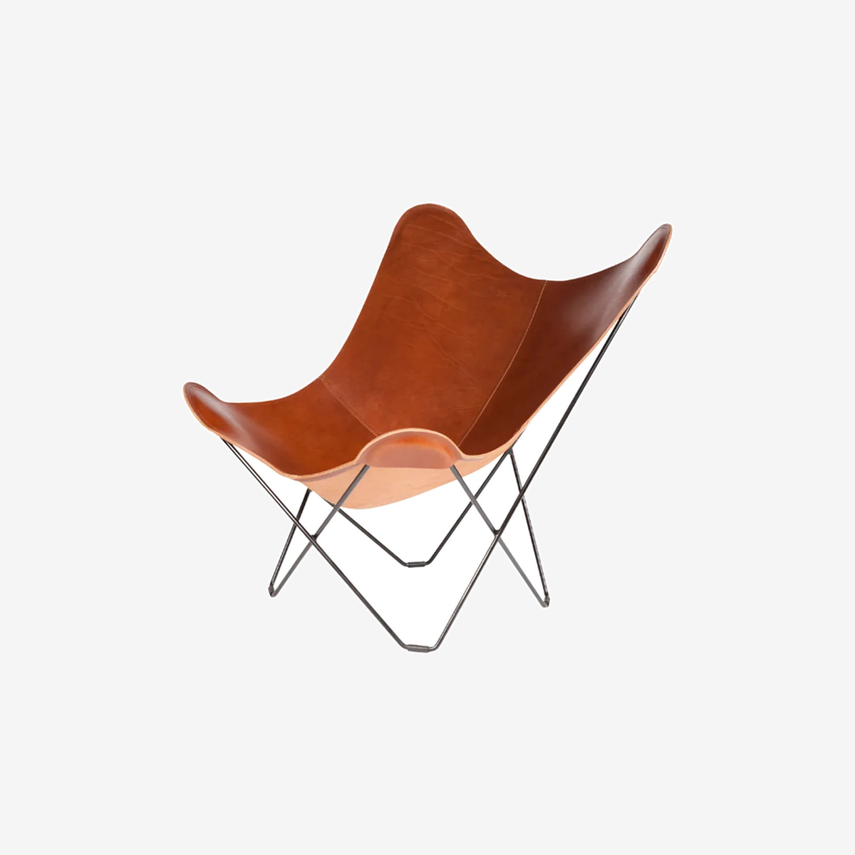 Butterfly Chair Pampa Mariposa Montana