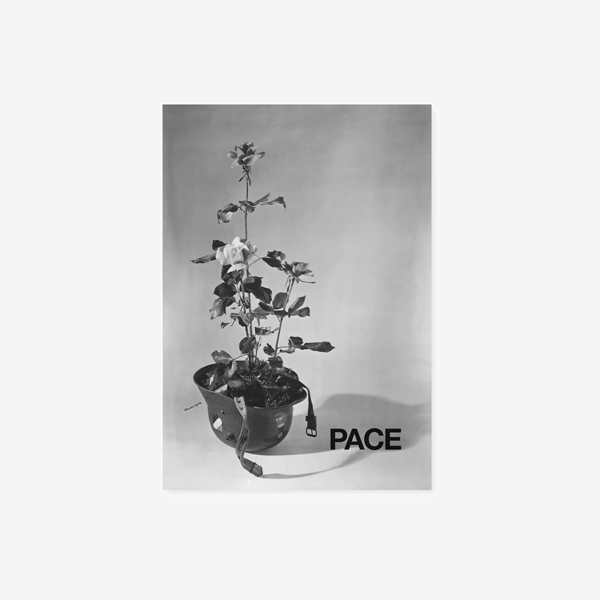 Poster For Peace