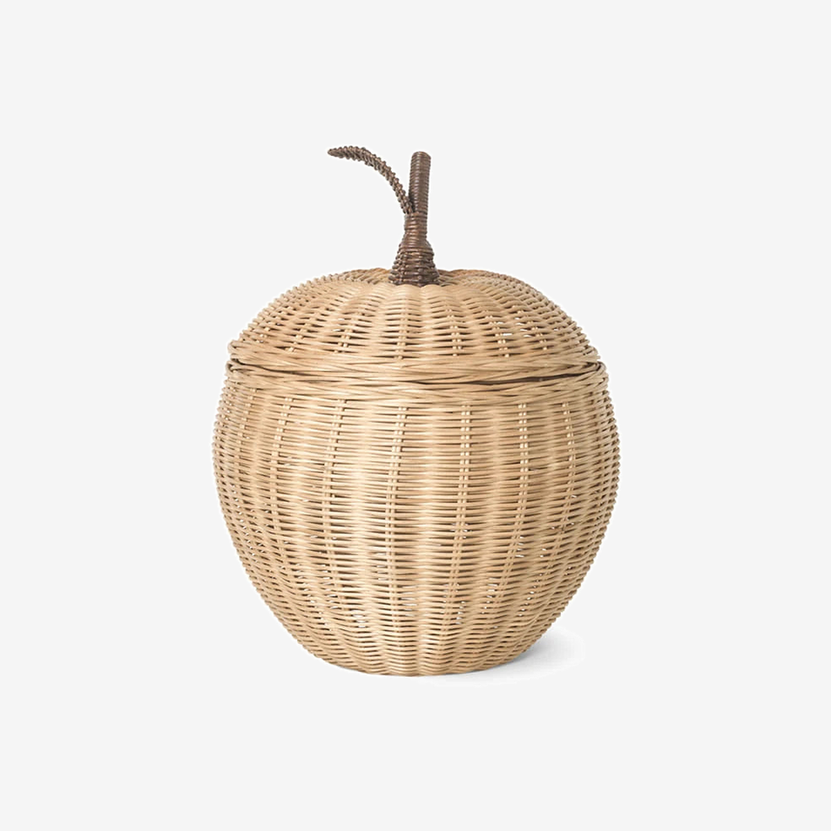 Apple Braided Storage L