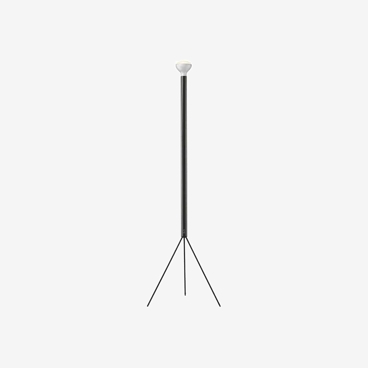 Luminator Floor Lamp