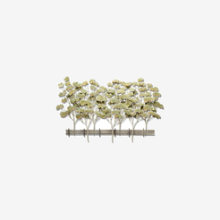 TIOR padding5 normalized card | 10520314314933 | 143406f1b4ff